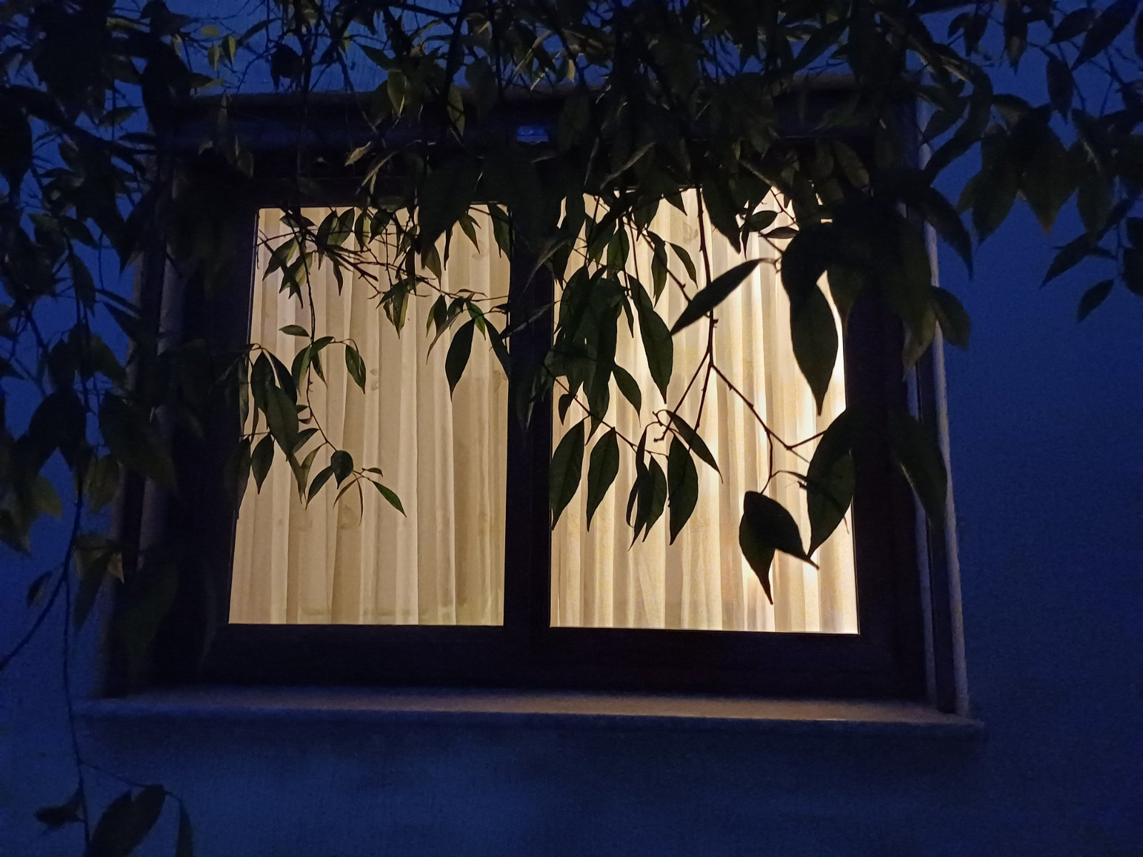 embracing gratitude in daily life will help you see the beauty all around.