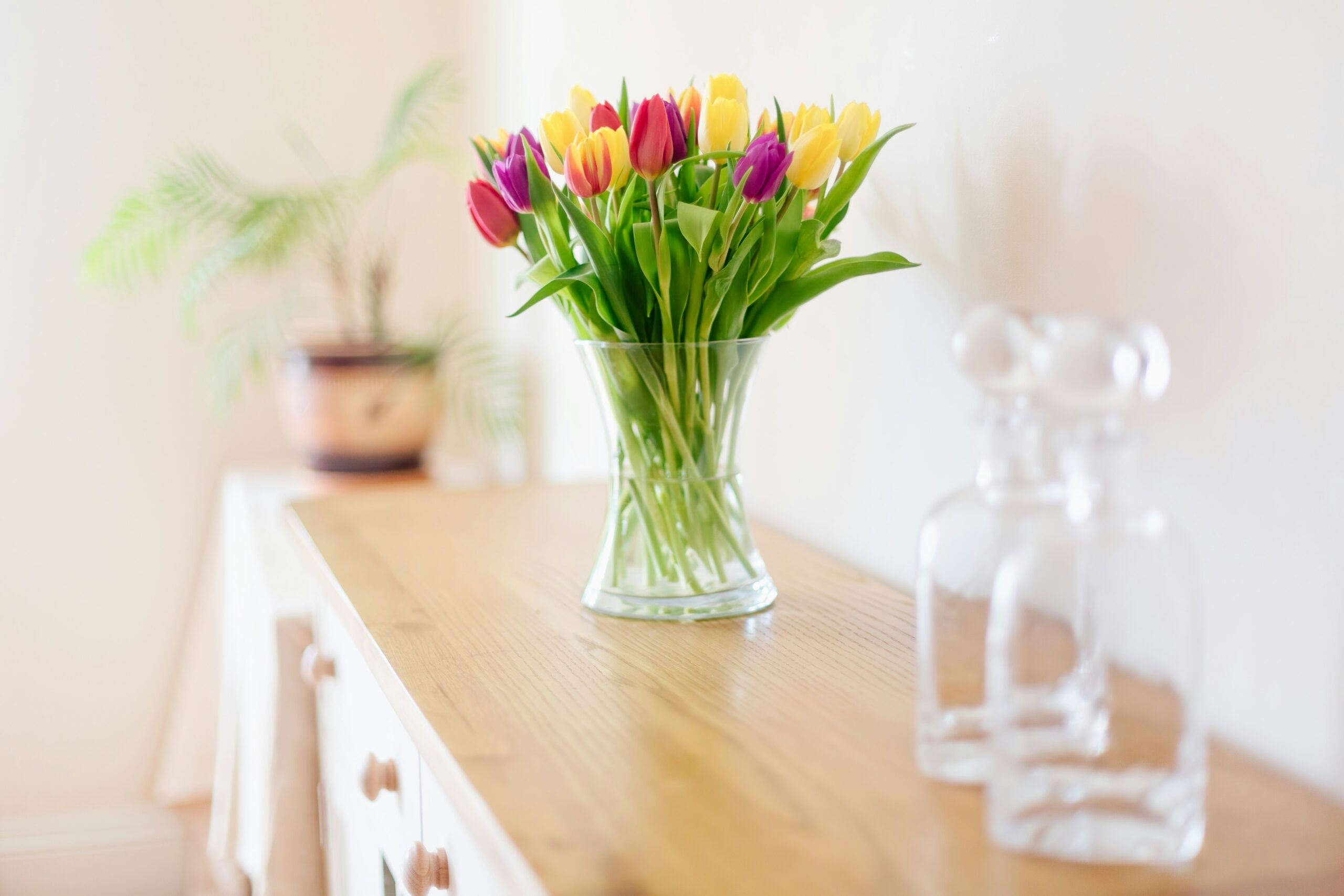 make today count - beautiful tulip flowers on a shelf in the morning light