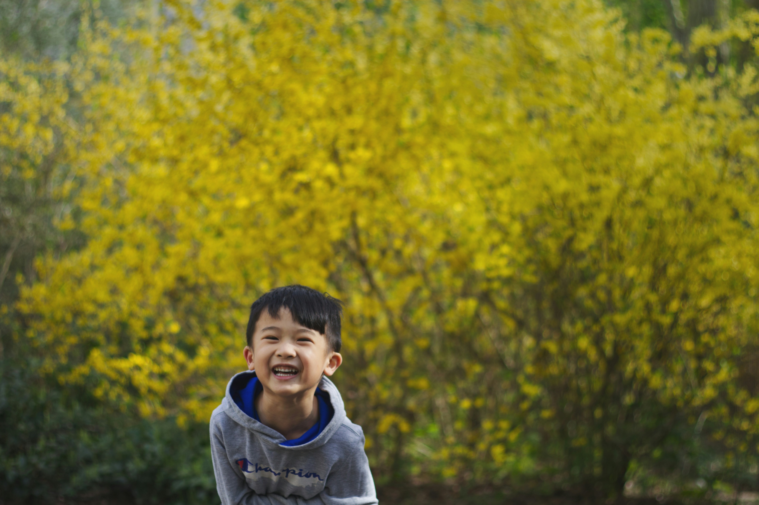 Gratitude Perspective Shifts—Lessons from My Five-Year-Old