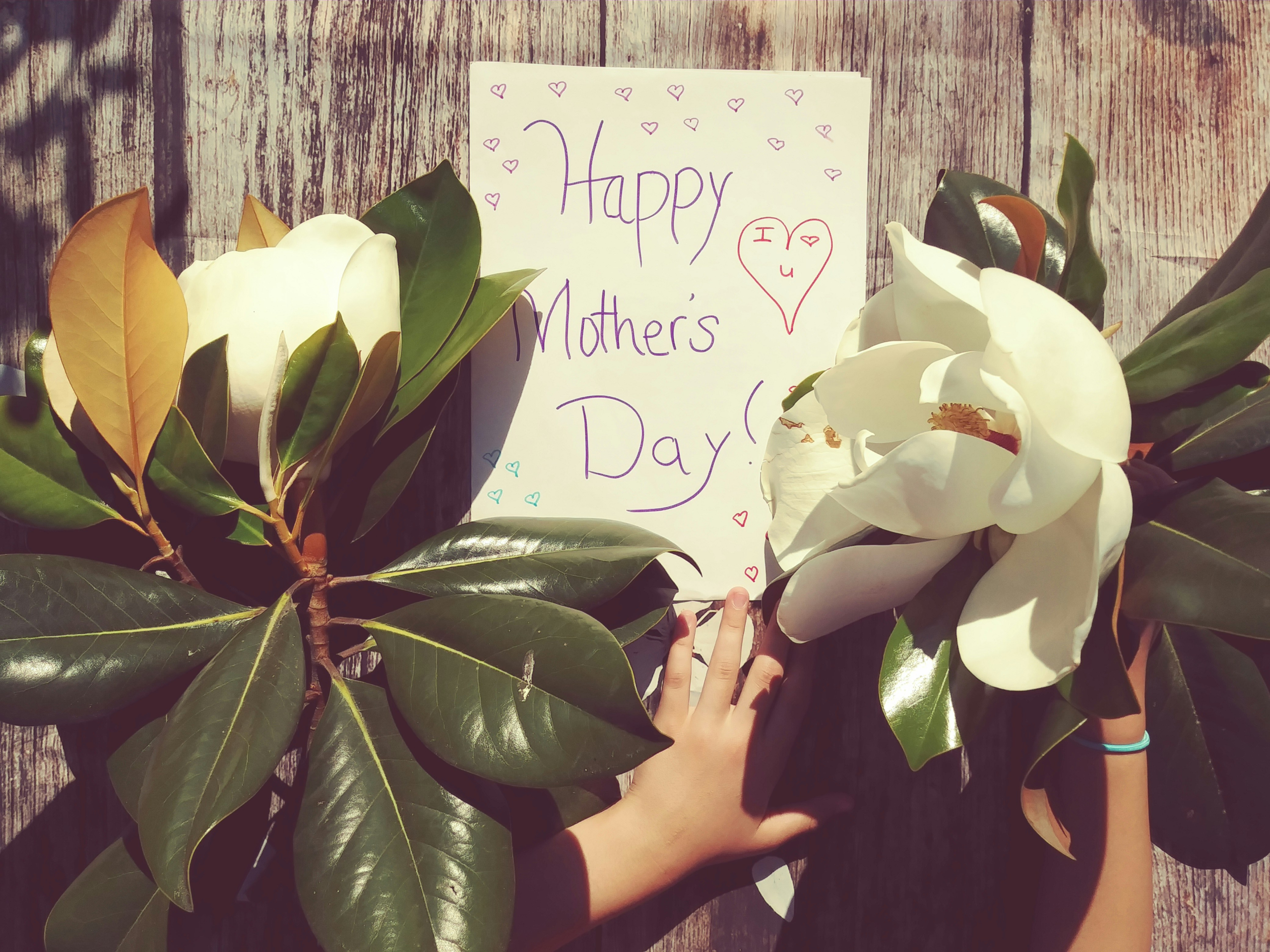 What to Write in a Mother’s Day Message: 30 Thoughtful Prompts She’ll Love