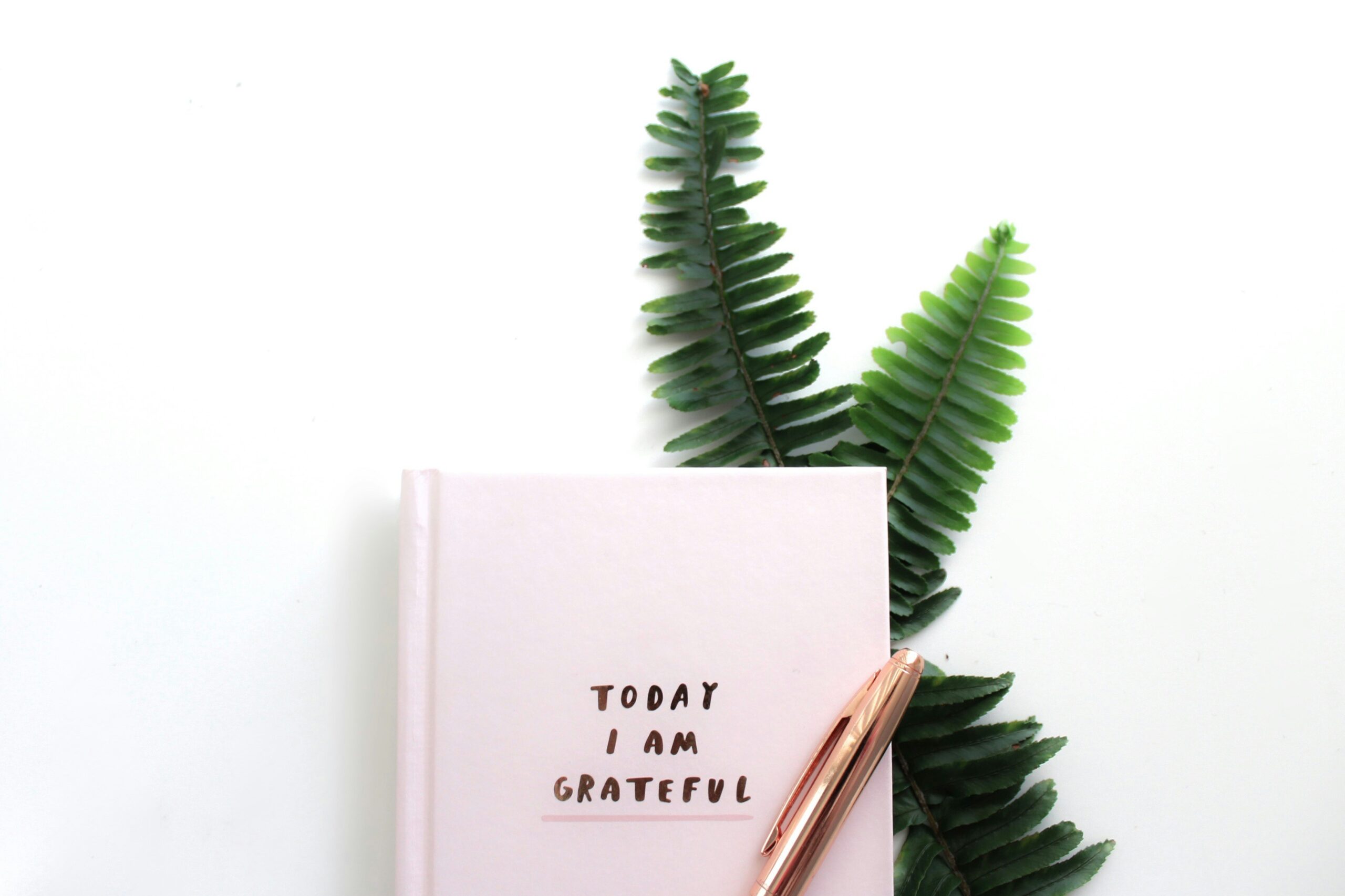How to Start a Gratitude Journal (Step-by-Step for Beginners)