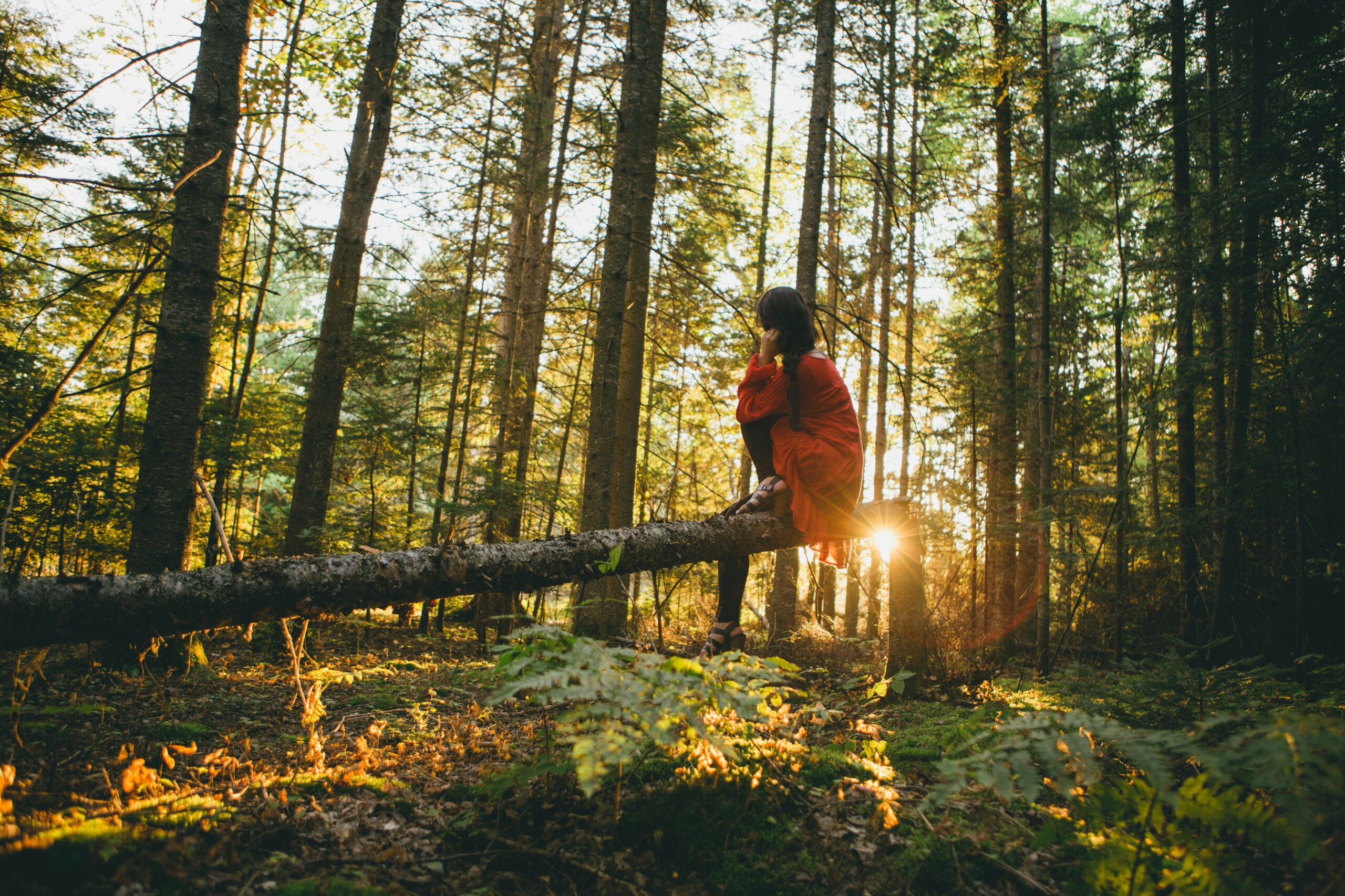 feeling behind in life - woman sitting on a log in a forest