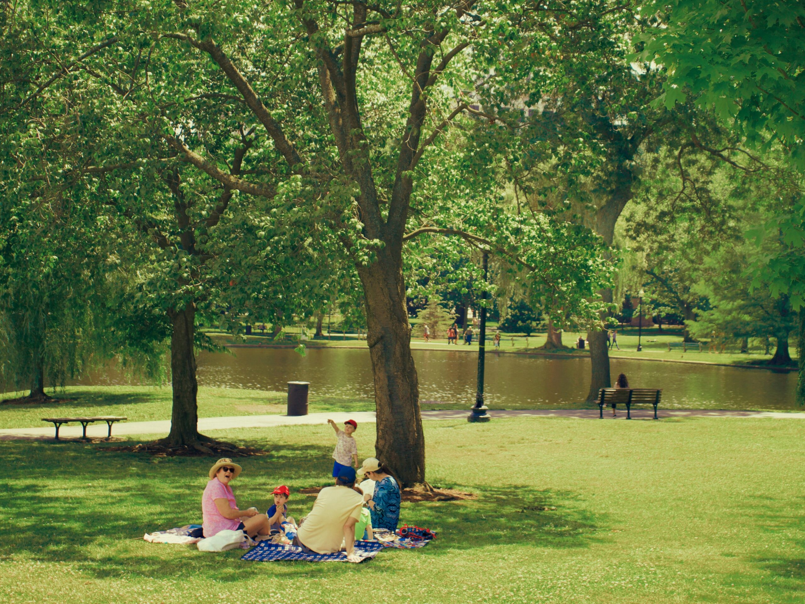 how to feel content with your life - family enjoying a picnic in a beautiful park